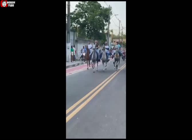 Video :He sustains minor injuries after falling off a horse